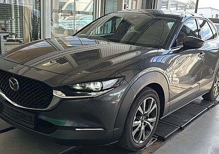 Mazda CX-3 CX-30 Selection 18 MATRIX BOSE