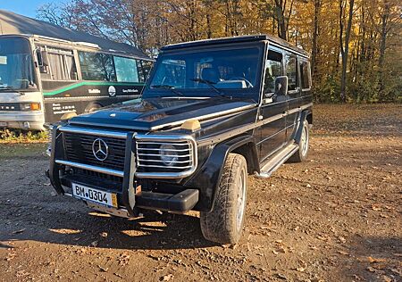 Mercedes-Benz G 300 W463 *nicht Rostfrei*