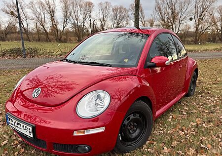 VW Beetle Volkswagen