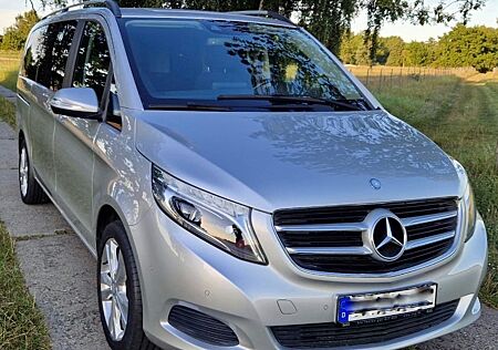 Mercedes-Benz V 250 gebraucht kaufen Mercedes-Benz V 250 d 4MATIC EDITION lang EDITION