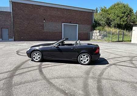 Mercedes-Benz SLK 230 Der Wolf im Schafspelz rostfrei