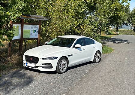 Jaguar XE D180 SE