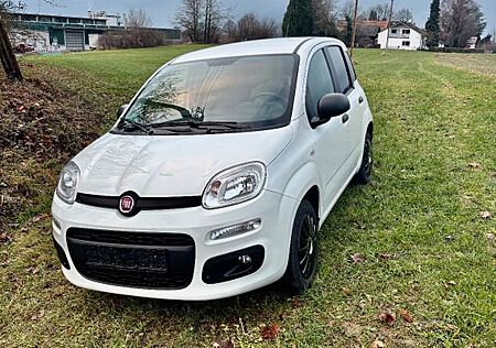 Fiat New Panda 1.2 8V EASY Klimaanlage TüV NEU