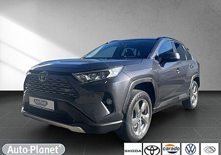 Toyota RAV 4 RAV4 2.5 Hybrid Team D *2XPDC*BLIS*NAVI* ALU