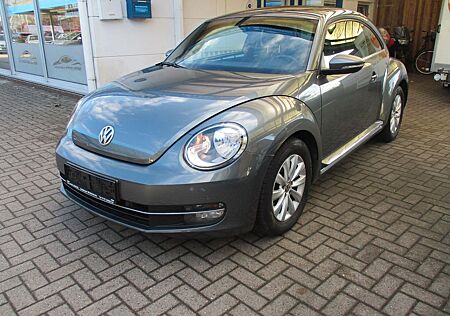 VW Beetle Volkswagen Lim. Design