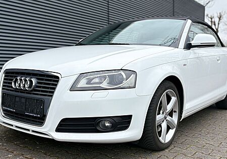Audi A3 Cabriolet S line Sportpaket / plus - Xenon