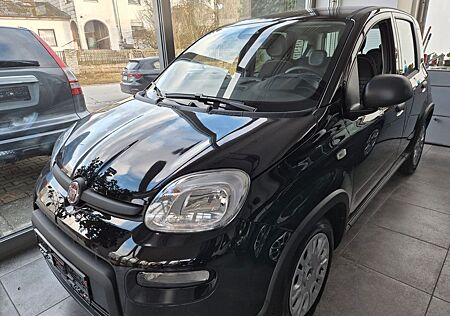Fiat Panda Pandina Cross schwarz