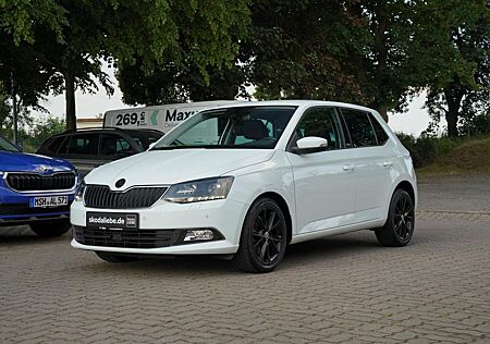 Skoda Fabia JOY 1.2 TSI IMMER BEI GEWARTET