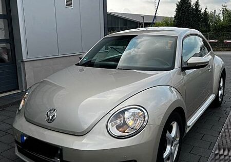 VW Beetle Volkswagen 1.2 TSI - Zusätzlich 4 Alufelgen