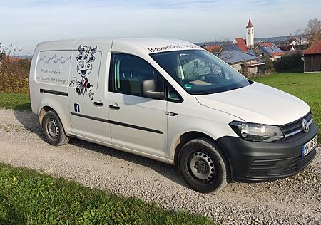 VW Caddy Volkswagen CaddyMaxi Kühlkastenwagen Kühlauto Kühlkoffer