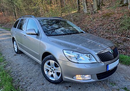 Skoda Octavia 1.2 TSI Bi-Xenon SHZ Tempomat