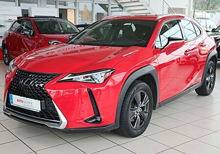 Lexus UX 250h Navi LED Kamera Lenkradhzg.