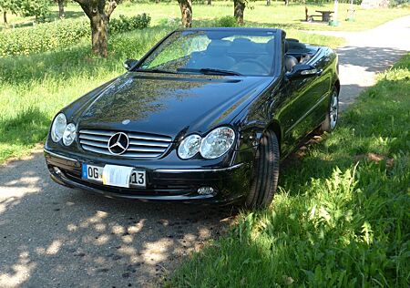 Mercedes-Benz CLK 240 ELEGANCE Elegance, TüV NEU