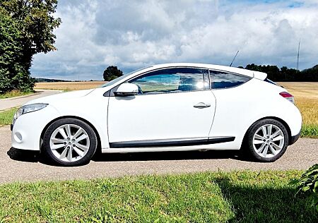 Renault Megane Coupé Teilleder - Hagelschaden -