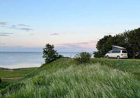 VW T6 California Volkswagen California Beach 4Motion TOP-Ausst