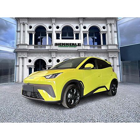 BYD Dolphin leasen