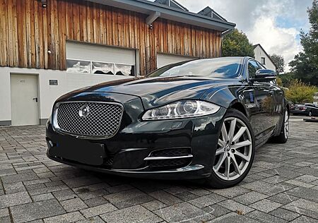 Jaguar XJ Portfolio 3.0 V6 Diesel Portfolio
