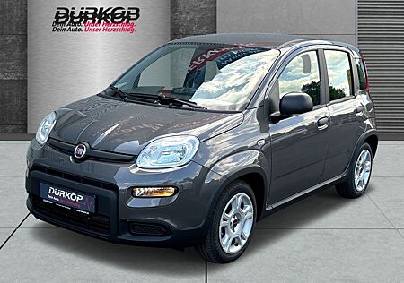 Fiat Panda Mild Hybrid 1.0 GSE Komfort-Paket