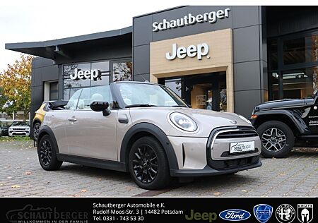 Mini Cooper Cabrio Classic Trim Helles Leder Allwette