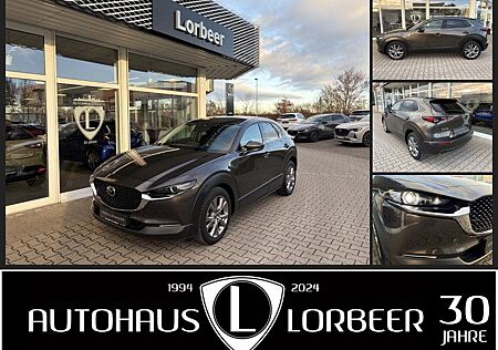 Mazda CX-30 M-HYBRID 150PS SELECTION DES-P NAVI MATRIX