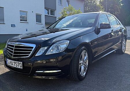 Mercedes-Benz E 250 CDI BlueEFF. AVANTG. Autom. AVA...