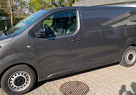 Peugeot Expert e Transporter