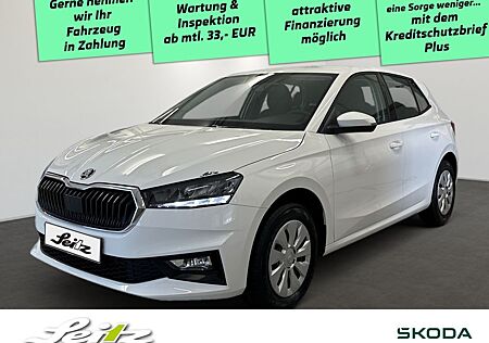 Skoda Fabia 1.0 TSI Selection *APPCON*LED*WINTERPAKET*