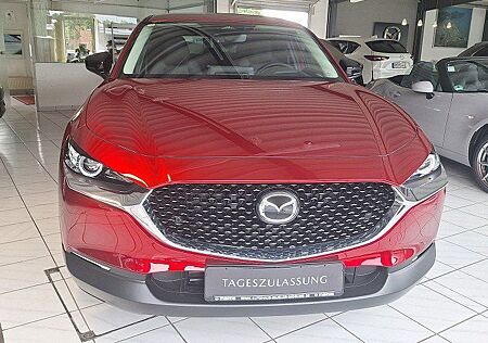 Mazda CX-30 2.5L e-SKYACTIV G 140ps Sondermodell Homur