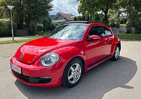 VW Beetle Volkswagen Lim. Basis