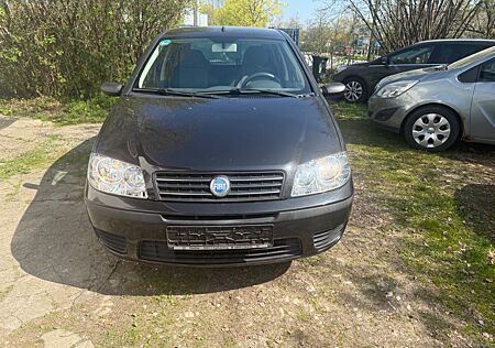 Fiat Punto 1.2 8V Active Clima