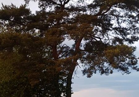 Audi R8 V10 5.2 FSI NUR KURZE ZEIT!!!