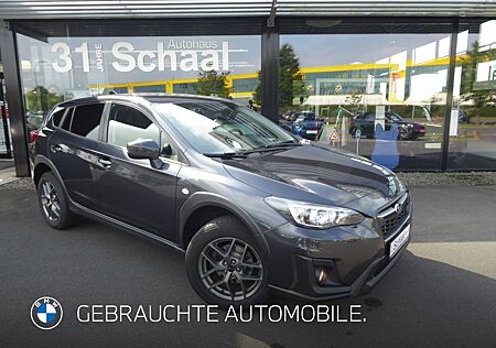 Subaru XV 1.6i Lineartronic Trend AWD AHK Shz 17°