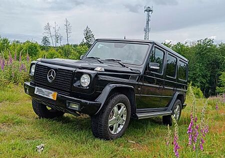 Mercedes-Benz G 500 V8, AHK, TÜV und Inspektion neu, kein Rost