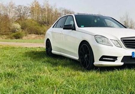 Mercedes-Benz E 350 gebraucht kaufen Mercedes-Benz E 350 CDI 4MATIC BlueEFFICIENCY -