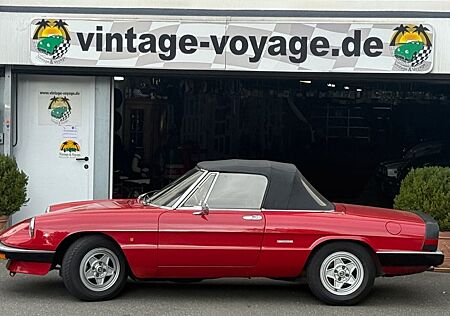 Alfa Romeo Spider gebraucht kaufen Alfa Romeo Spider 1600 - Sehr schön u gut , dokumentiert
