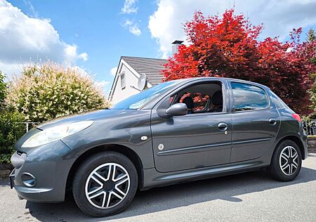 Peugeot 206 1.4 HDi FAP 70 - Guter Zustand
