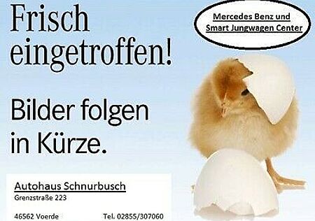 Audi SQ5 3.0 TDI quattro Black Edit.-PANO-AHK-SPURH.-