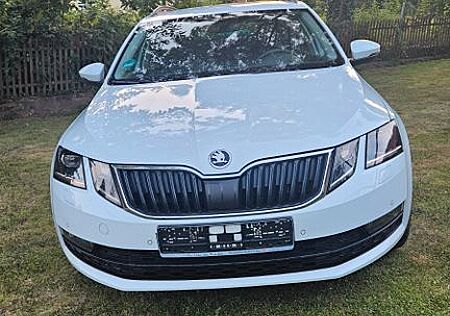 Skoda Octavia Combi Drive 4x4