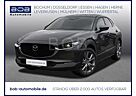 Mazda CX-30 G 150 EXCLUSIVE-LINE DesP NAVI SHZ PDC