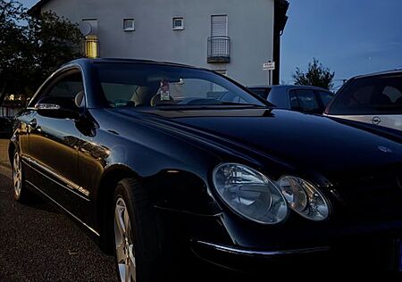Mercedes-Benz CLK 240 gebraucht kaufen Mercedes-Benz CLK 240 ELEGANCE Elegance