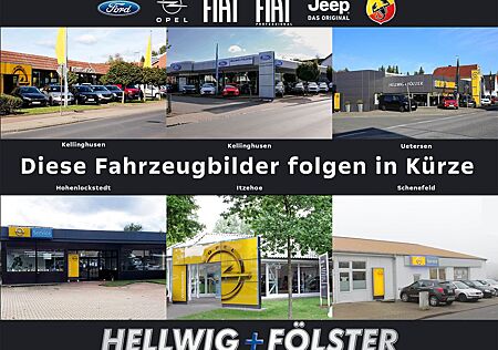 Fiat Ducato Kastenwagen L3H2 Multijet Hochdach + PDC