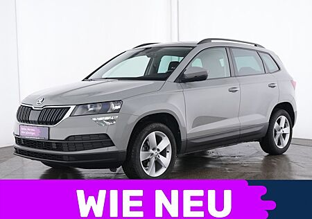 Skoda Karoq Ambition Business-Paket Amundsen|Navi