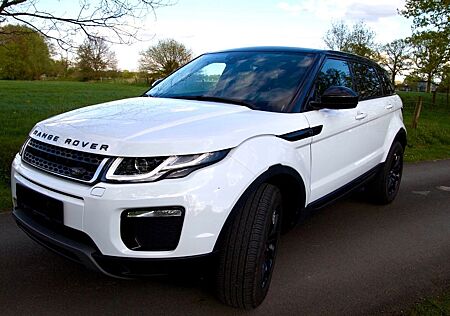 Land Rover Range Rover Evoque - Leder - Panorama - Allrad