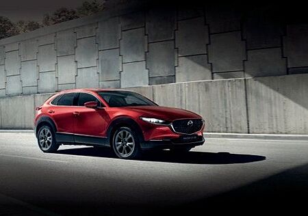 Mazda CX-30 ,Homura,140,Autom.Getr. Navi,Kamera,Parksen