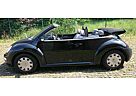 VW New Beetle Volkswagen 1.4 Cabriolet Klima Sitzheizung