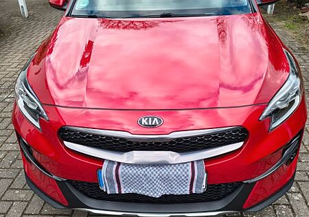 Kia XCeed 1.5 T-GDI Vision Vision
