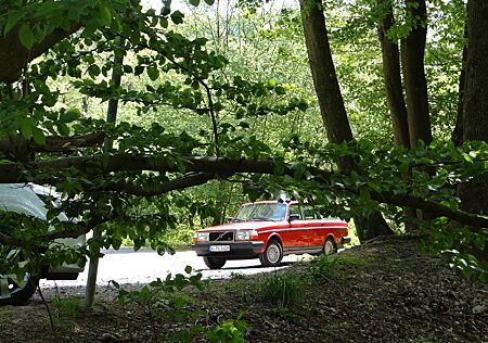 Volvo 245 vollrestariert und bereit für die Straße