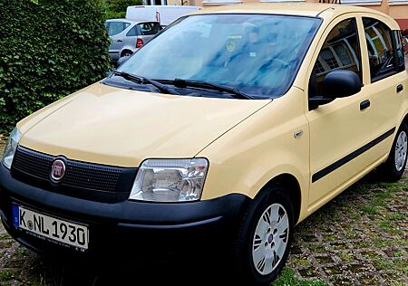 Fiat Panda 1,1 L TÜV - NEU **