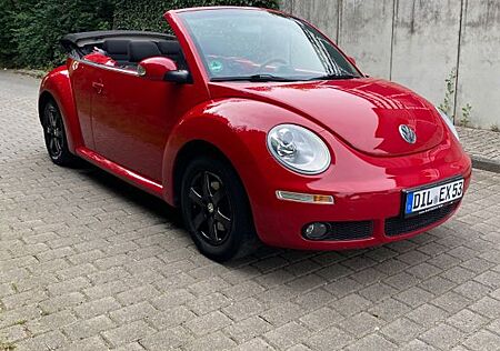 VW Beetle Volkswagen Cabrio