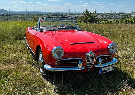 Alfa Romeo Giulia 1600 Spider